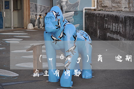 網(wǎng)商貸逾期對(duì)淘寶店主有何影響？嚴(yán)重性如何？
